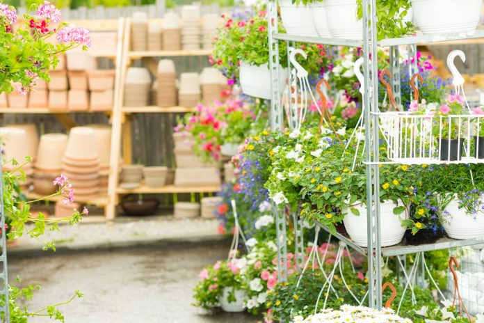 Hangplanten en potten in tuinwinkel