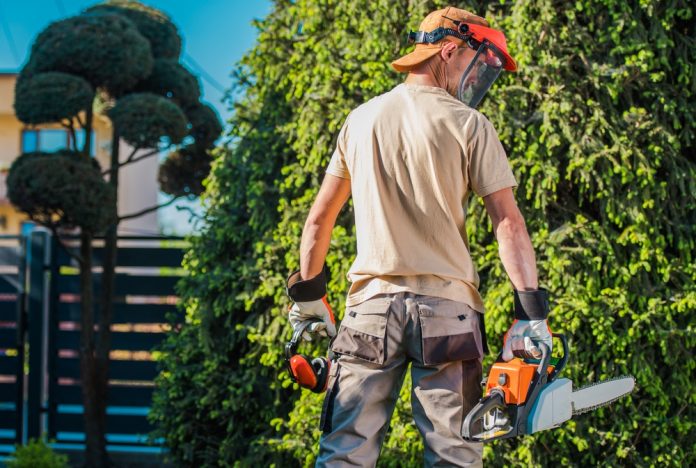 Man in tuin met tuingereedschap